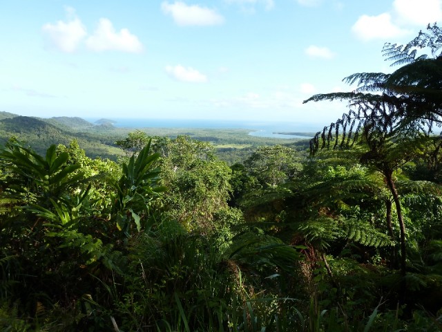 P1040392