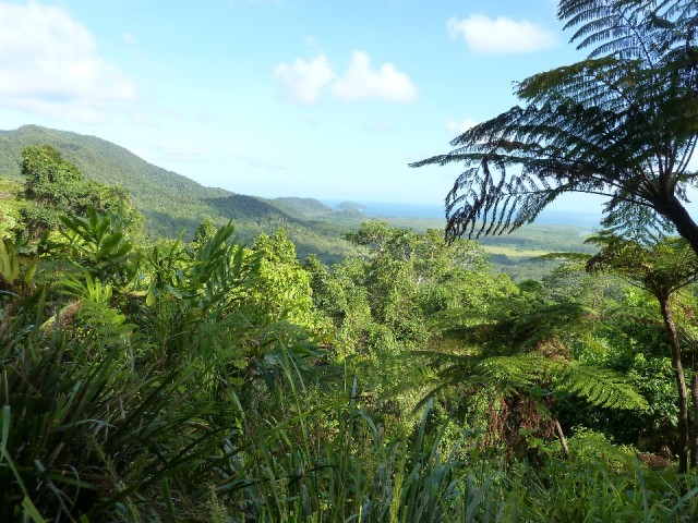 P1040393