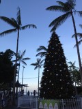Cairns met kerstboom terwijl het 30 graden is