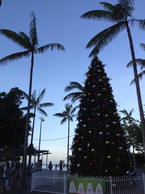 Cairns met kerstboom terwijl het 30 graden is