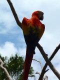 P1040522
