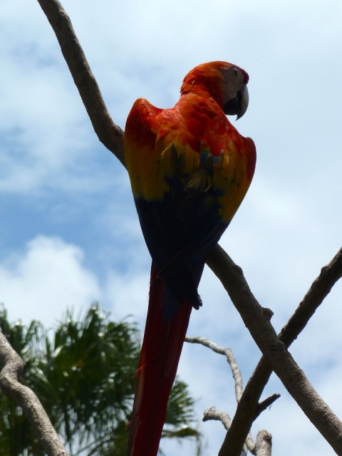 P1040522