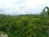 P1040588