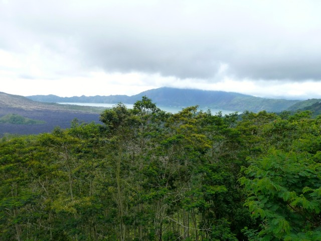 P1040652