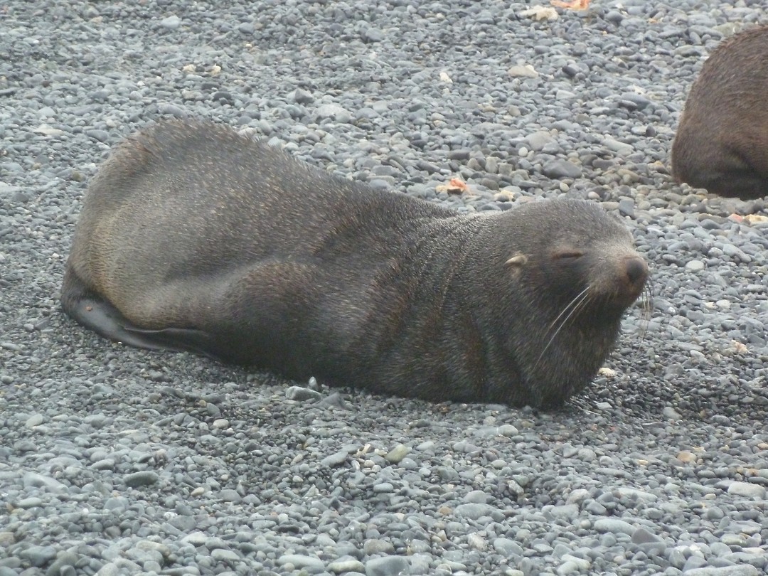 P1060212