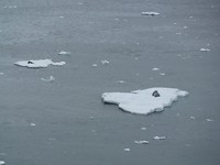P1060255