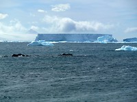 P1060449