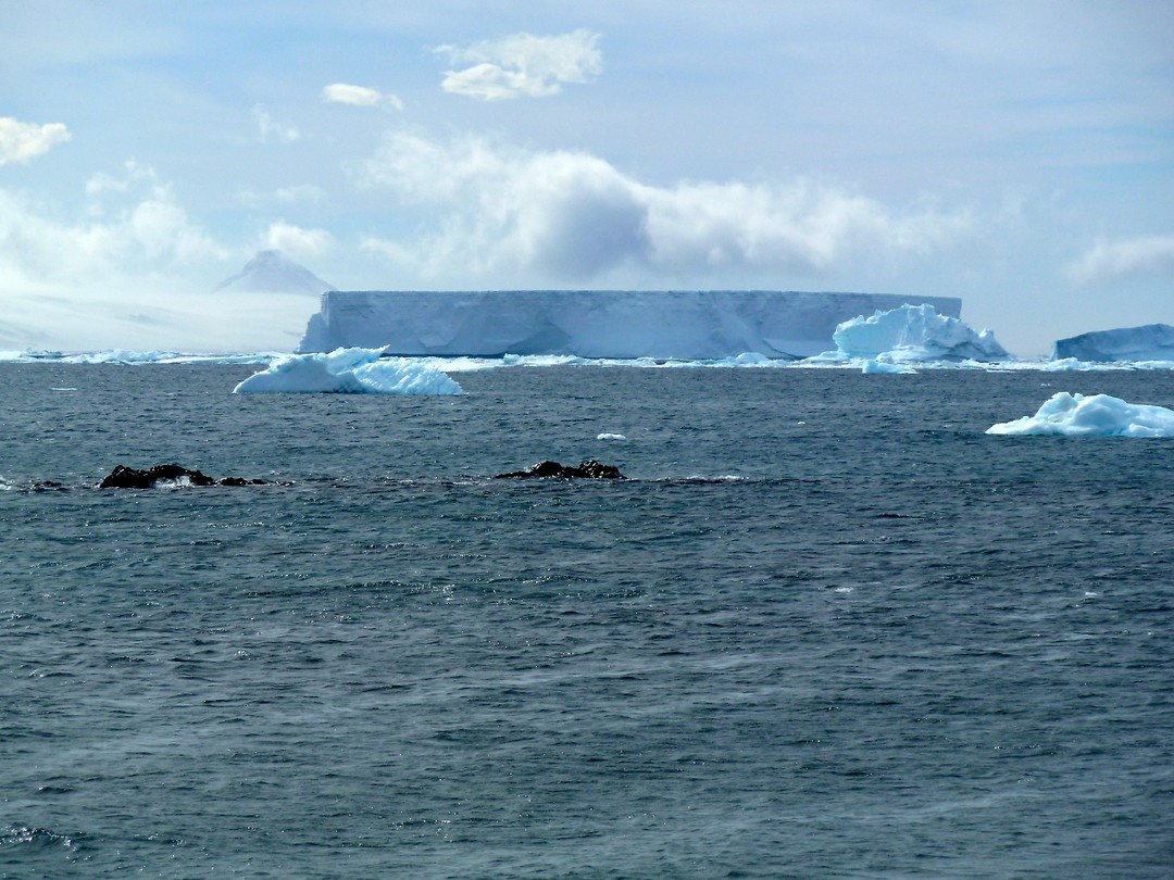 P1060449