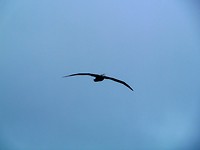 P1060496