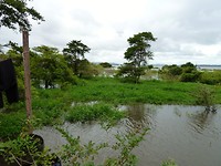 P1060913