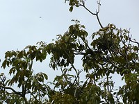 P1060935