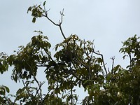 P1060936