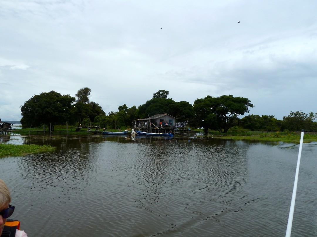 P1060939