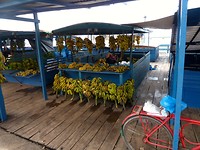 P1060947