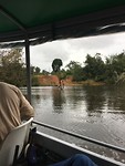 IMG_3804