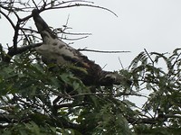 P1070069