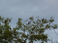 P1070076