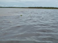P1070120