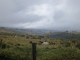 IMG_0644