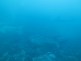 IMG_1162