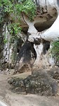 20170623_135556