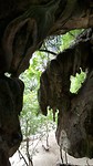 20170623_140332