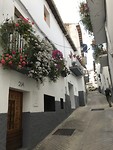 CC8483D4-A1FC-4877-8C79-D7F4FCB12788