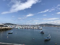 77DB0981-6E36-4FCC-89A9-7B11F424E964