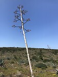 IMG_1488