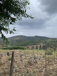 IMG_8809