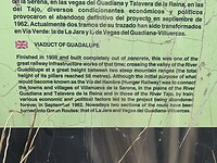 IMG_8810