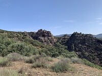 IMG_8828