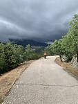 IMG_8887