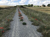 IMG_2372