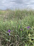 IMG_9104