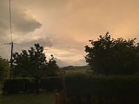 IMG_9324