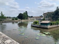IMG_9344
