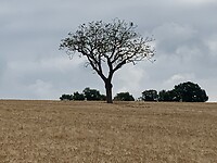 IMG_9360