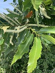 IMG_9362