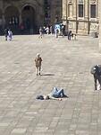 IMG_0862