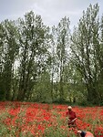 IMG_1106