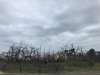 905694e1-b4bf-4ff5-bd5c-757f2e490b56
