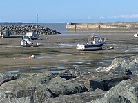 IMG_1437