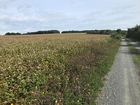 4088145a-5a8c-46f9-ae16-7b34ee6ab362