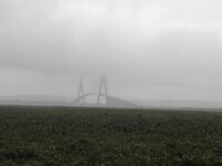 6d95fa70-93e3-43be-b614-f78dae036329
