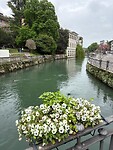 Een van de vele kanalen in Treviso.