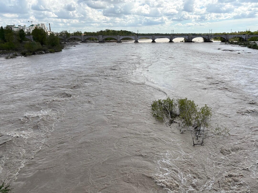 De Piave
