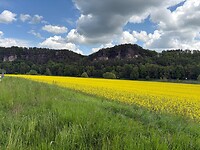 Natuurlijk weer  landerijen met raapzaad onderweg