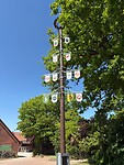De meiboom