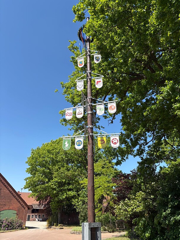 De meiboom